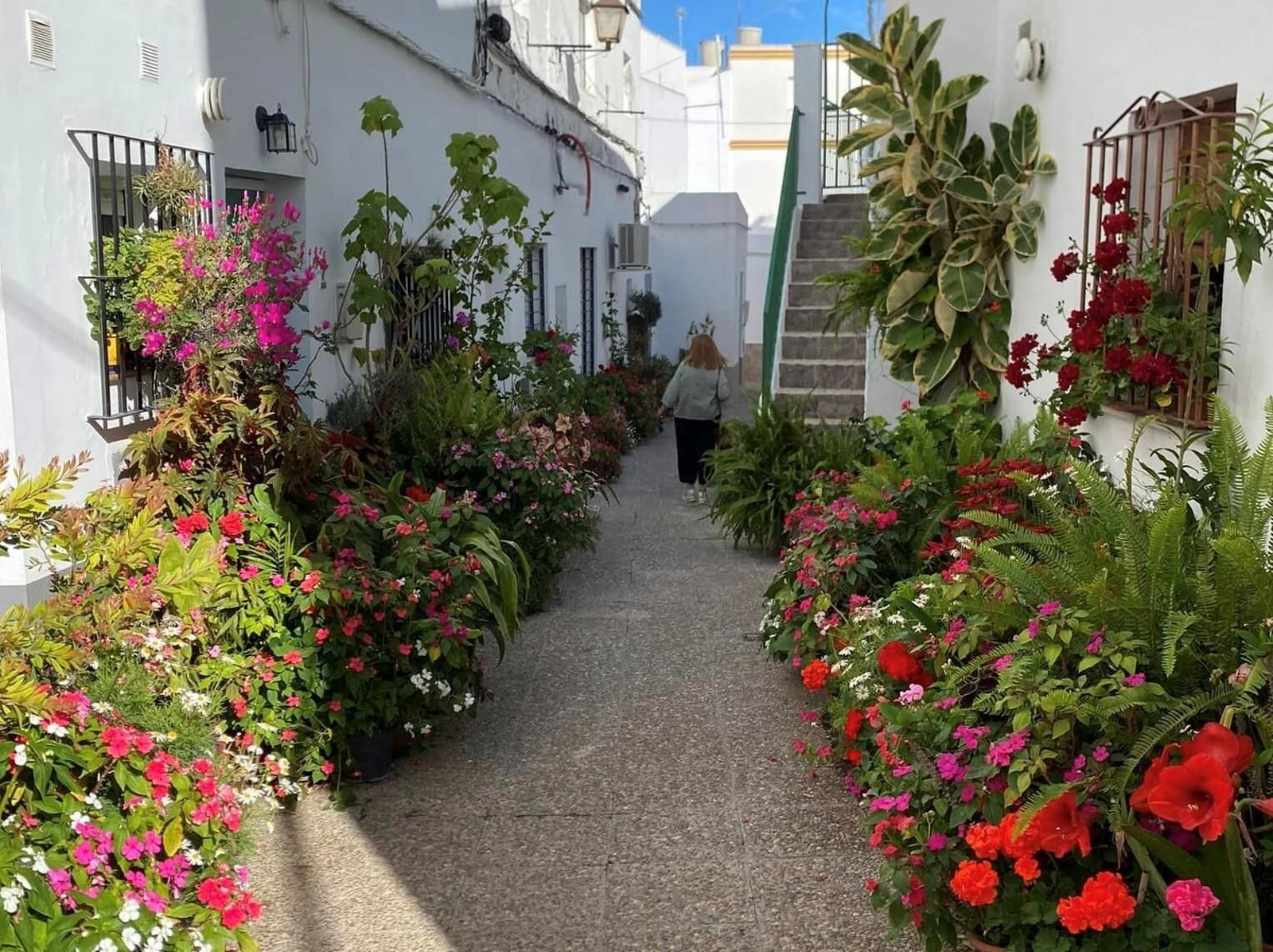 Uno de los lugares premiados de los patios y rincones de Conil