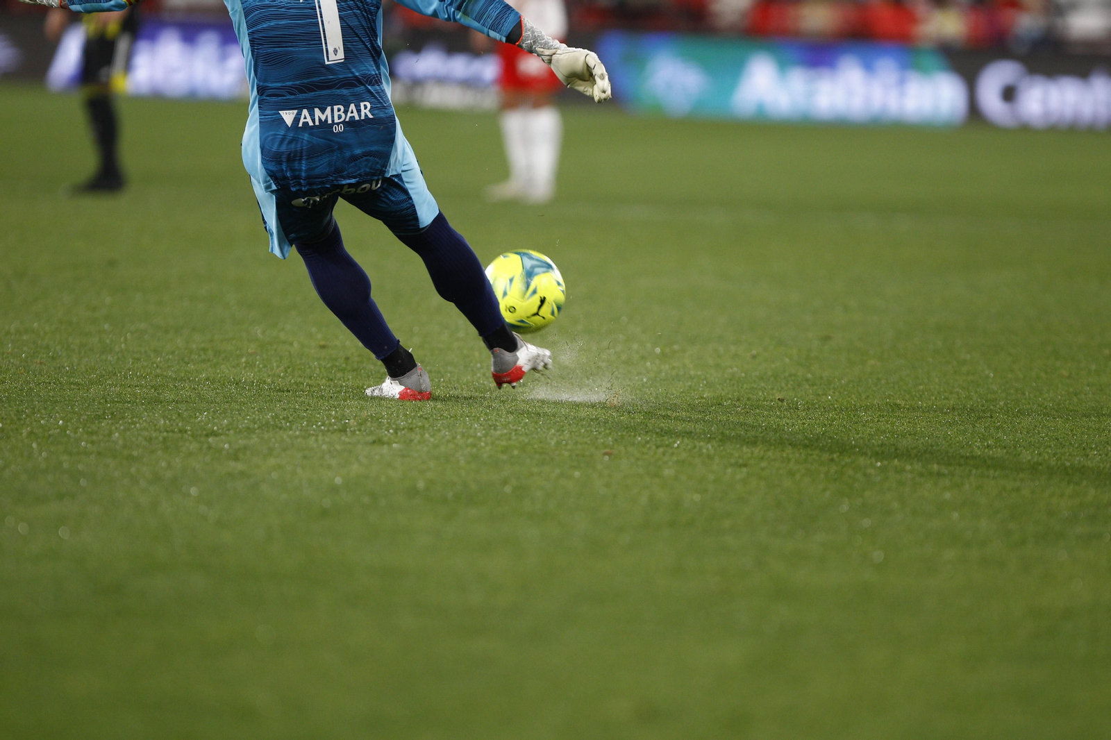 Fotogalería U.D. Almería-Real Zaragoza