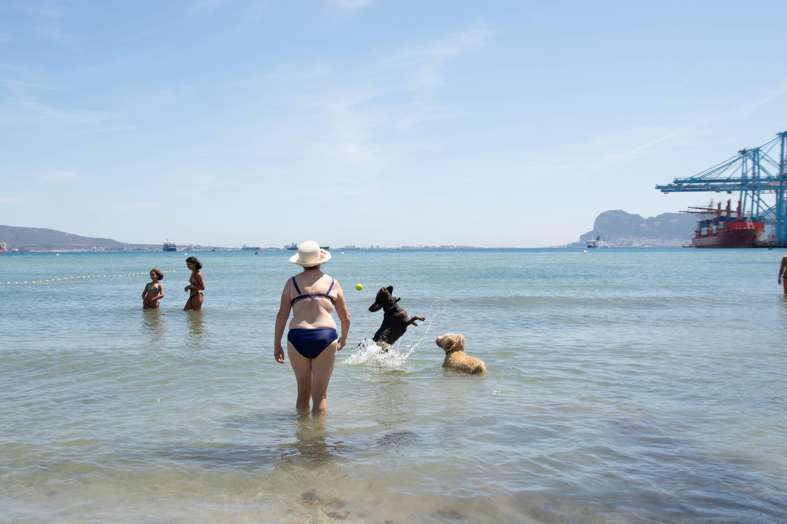 Una Tarde de perros en la playa