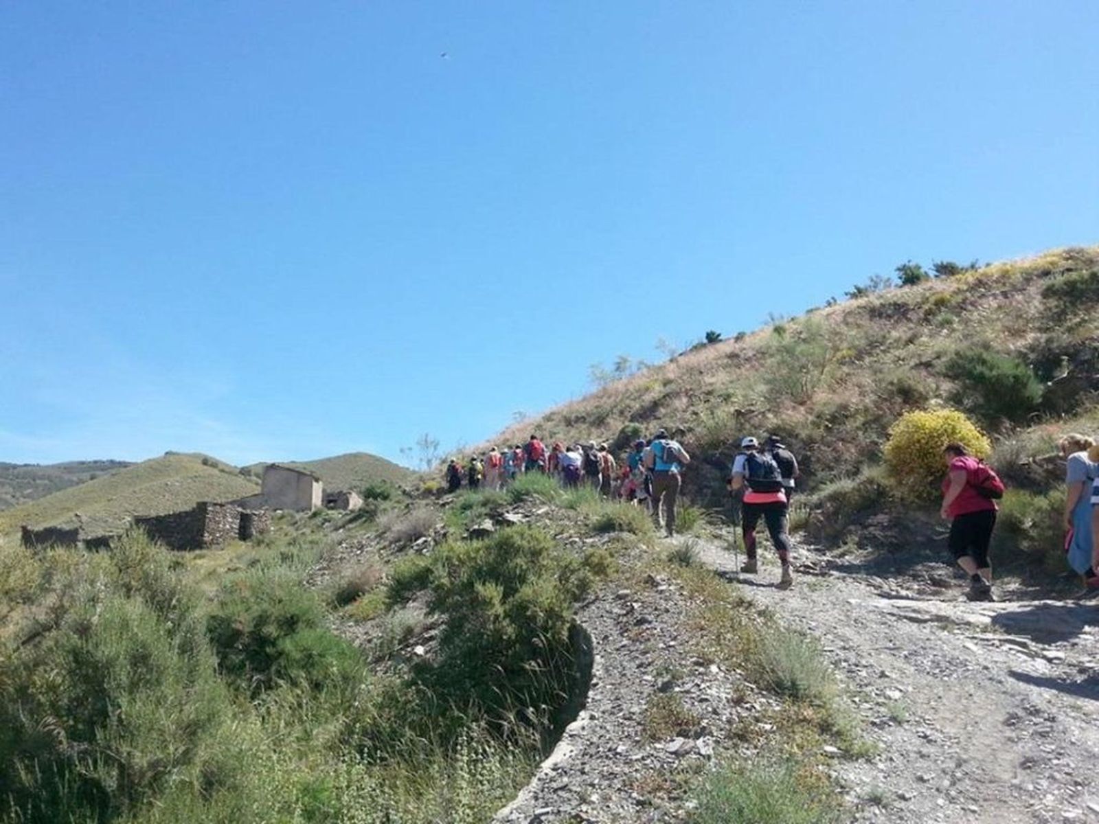 Un grupo de personas realizan una ruta de senderismo organizada anteriormente.