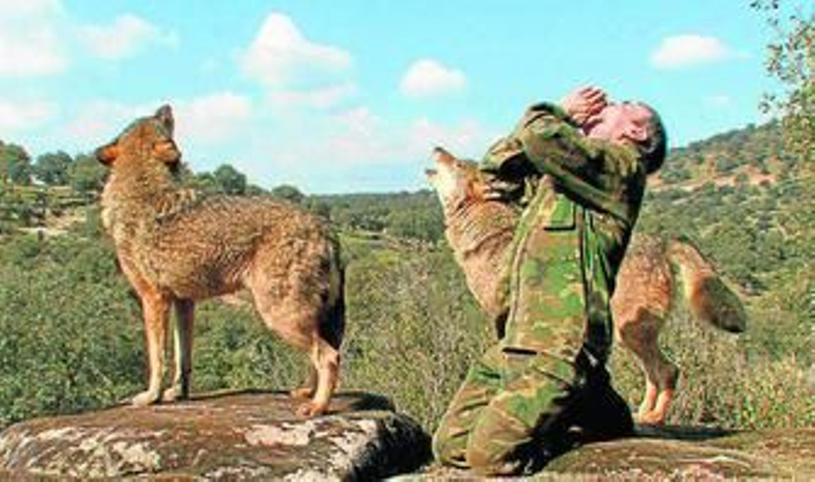 Marcos Rodríguez Pantoja, entre lobos.