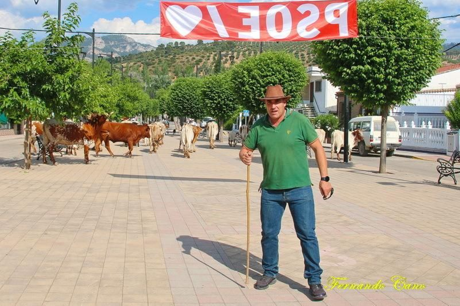 Las reses del ganadero Pablo Espinar hacen la trashumancia a su paso por Mogón.