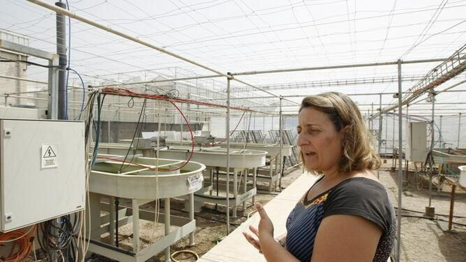 Alicia González Céspedes, en las instalaciones de la Estación Experimental Cajamar, en Las Palmerillas.