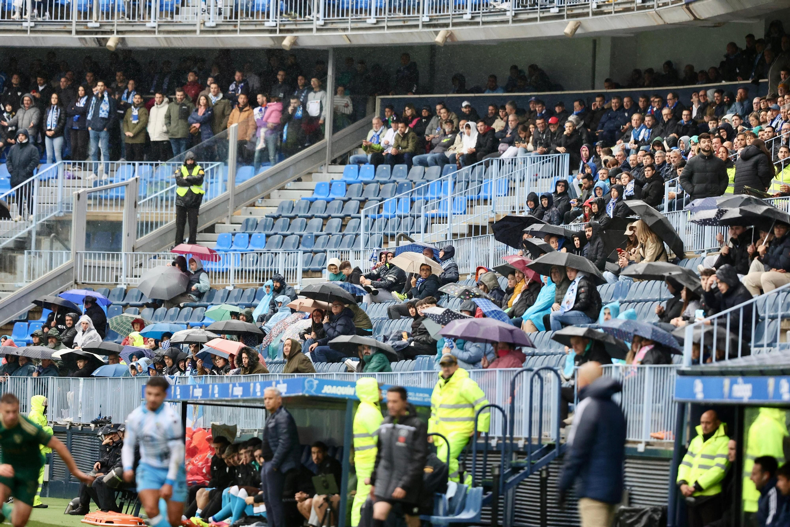 Búscate en La Rosaleda en el Málaga CF -  Linares