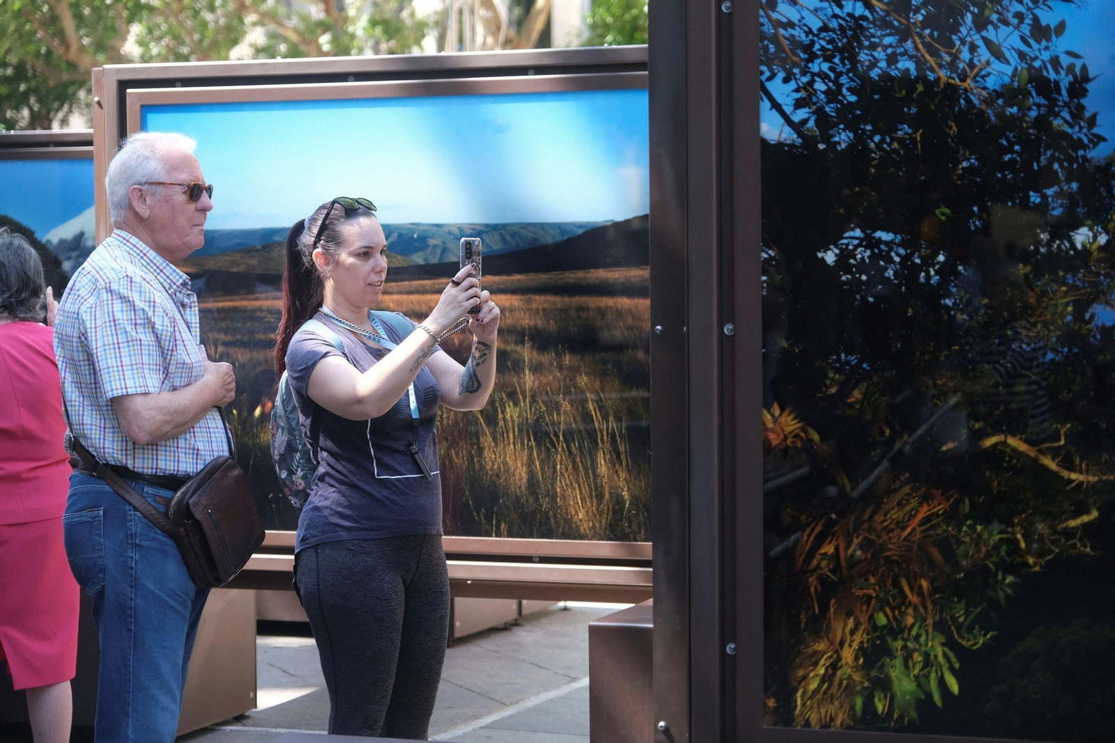 La exposición de 'National Geographic' en el bulevar del Gran Capitán de Córdoba, en imágenes