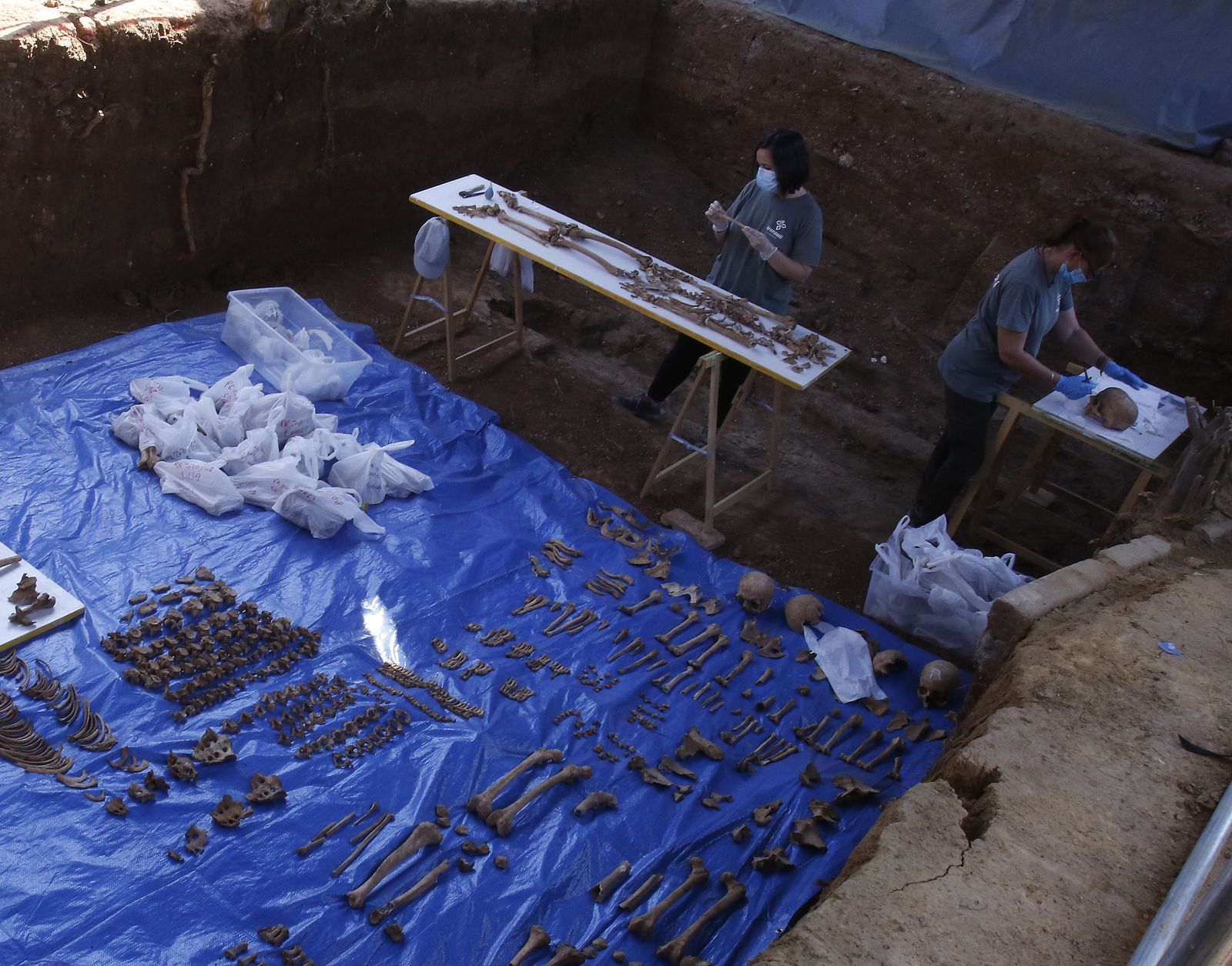 Visita a la fosa de Pico Reja