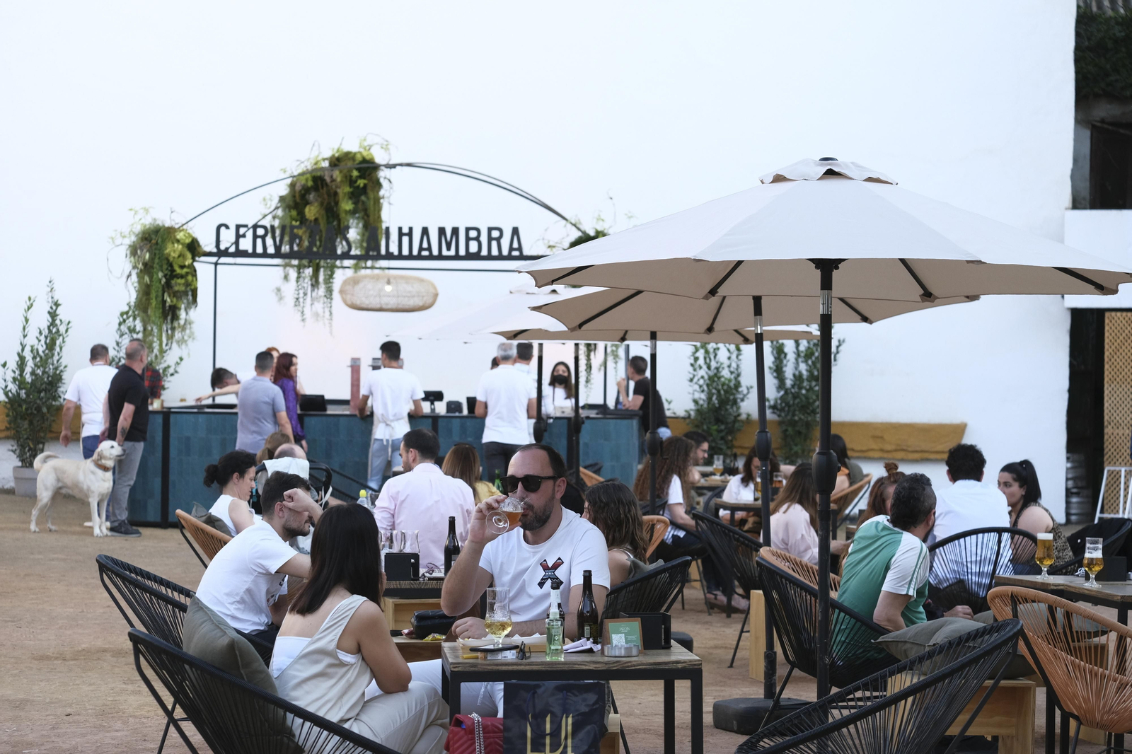 La presentación del Jardín Cervezas Alhambra de Córdoba, en imágenes