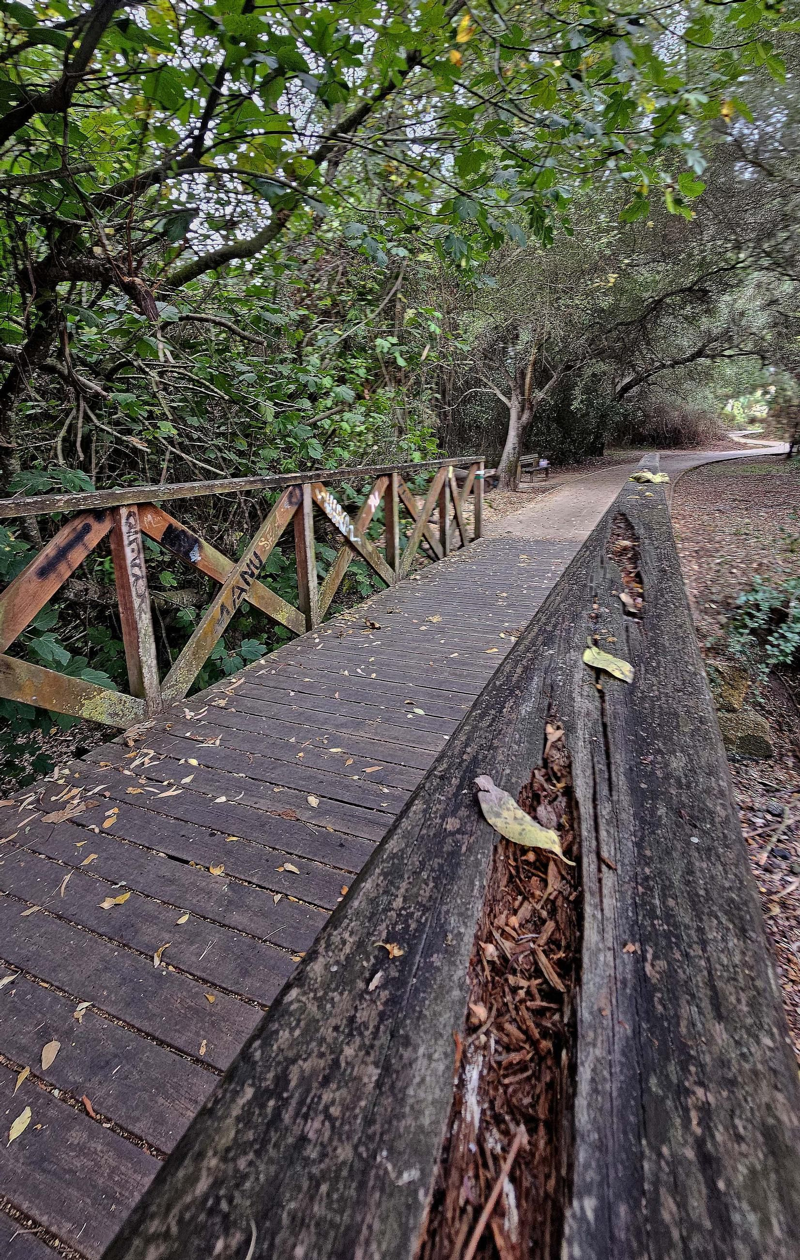 Fotos de los desperfectos en las barriadas de Getares en Algeciras