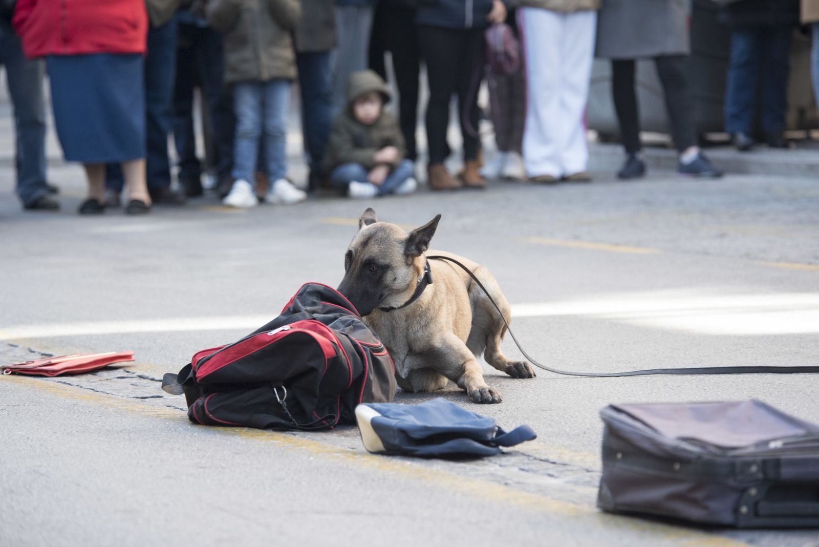 Las imágenes del Día sin coches