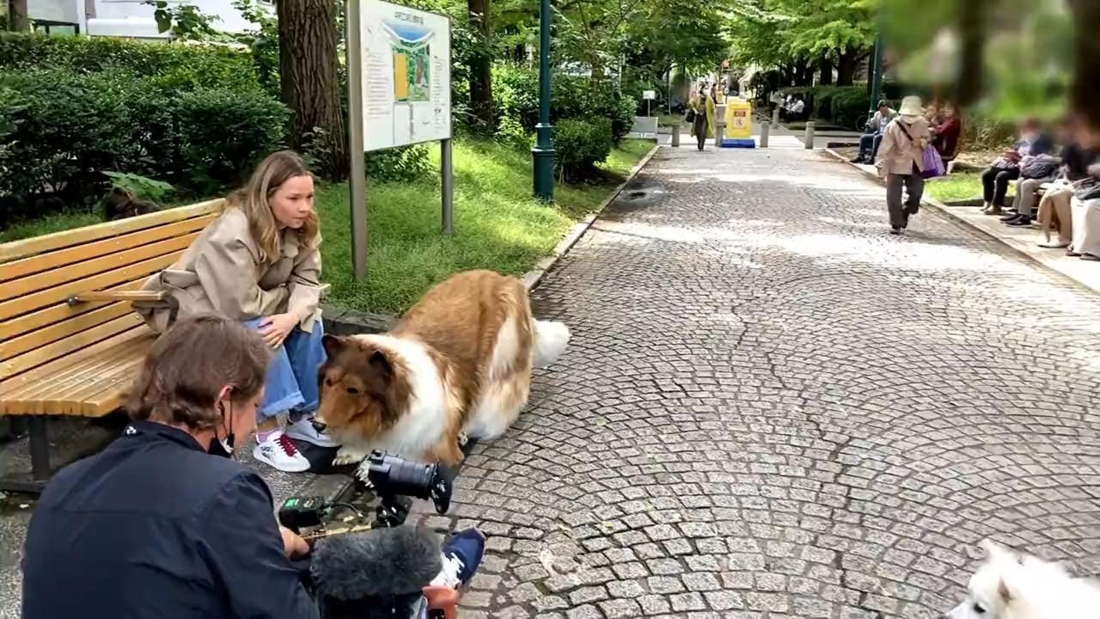 Toco, el hombre japonés que logró su sueño de convertirse en perro