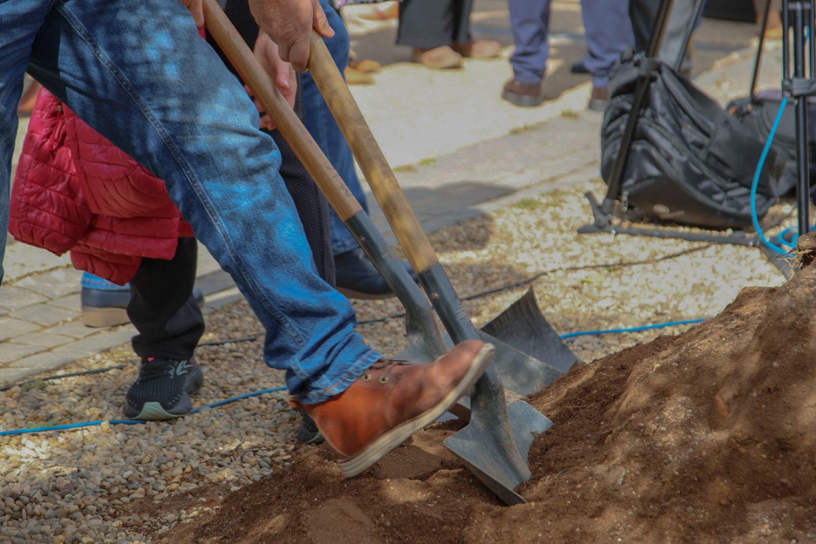 Las imágenes de la plantación de un olivo y el entierro de una cápsula del tiempo