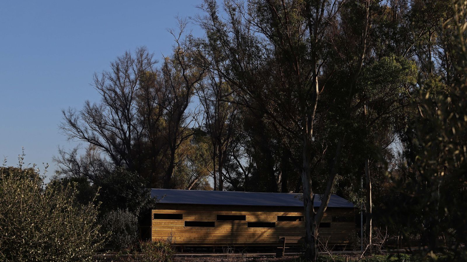 Sendero del arroyo de la Madre Vieja en San Roque