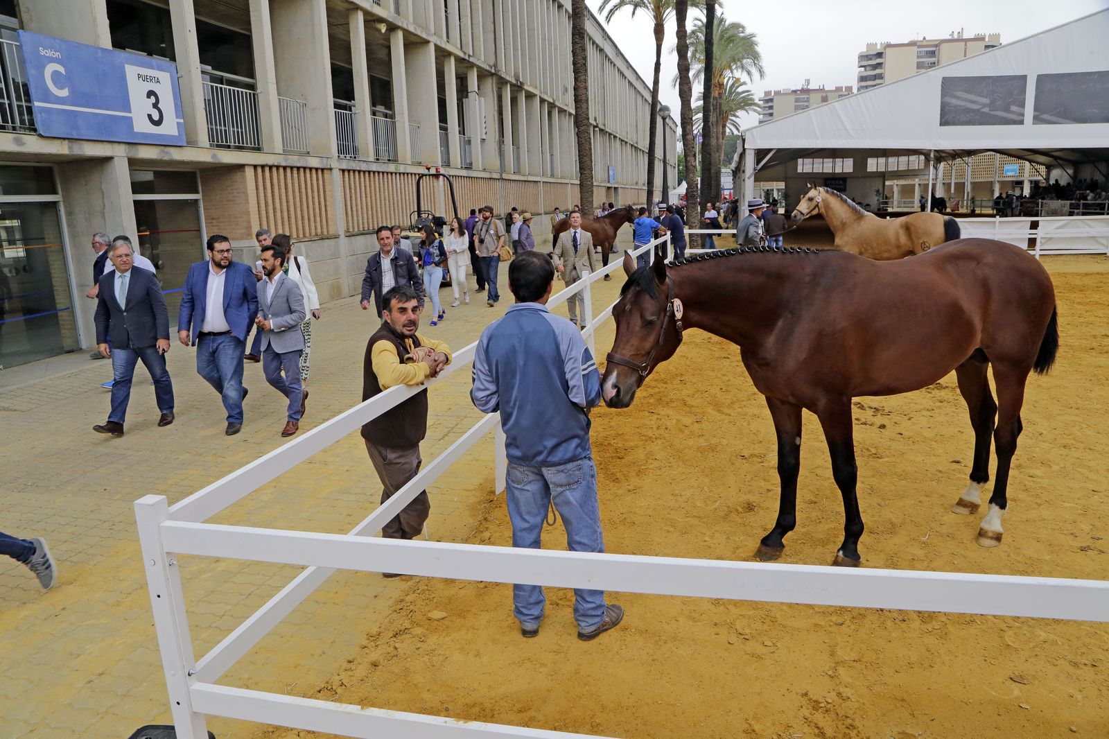 Los representantes institucionales pasean ayer por el recinto de Equisur.