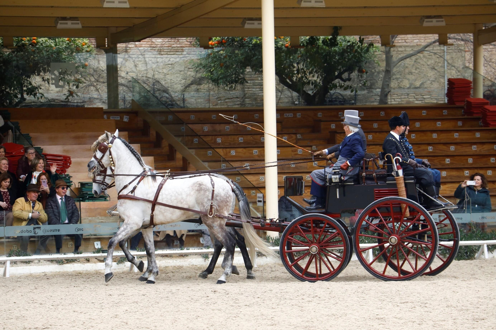 La exhibición de enganches en Caballerizas Reales de Córdoba, en imágenes