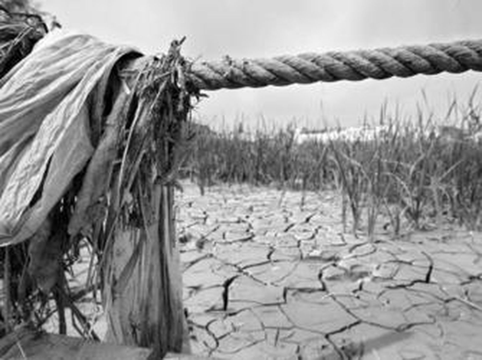 La mitad de los embalses se encuentra a menos de un tercio de su capacidad