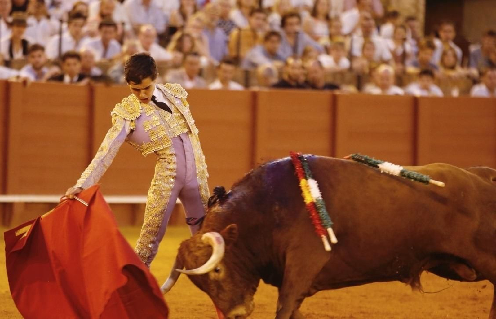 El novillero cordobés Manuel Román en la Maestranza.