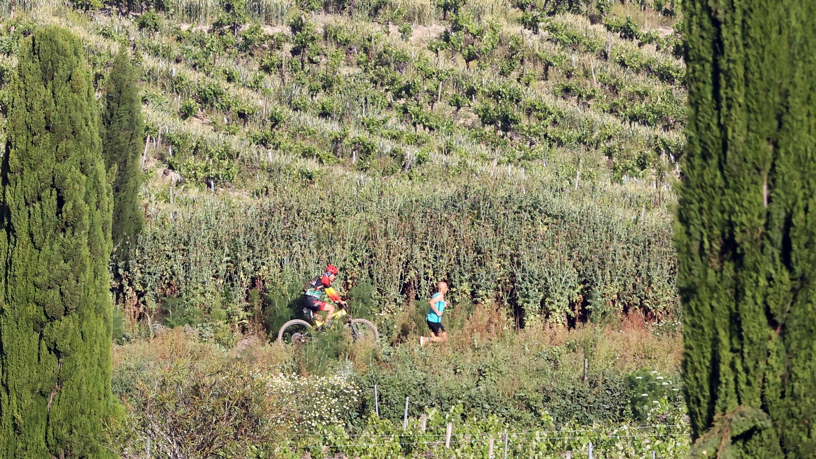 Búscate en la Sherry Maratón 2025 de Jerez (I)
