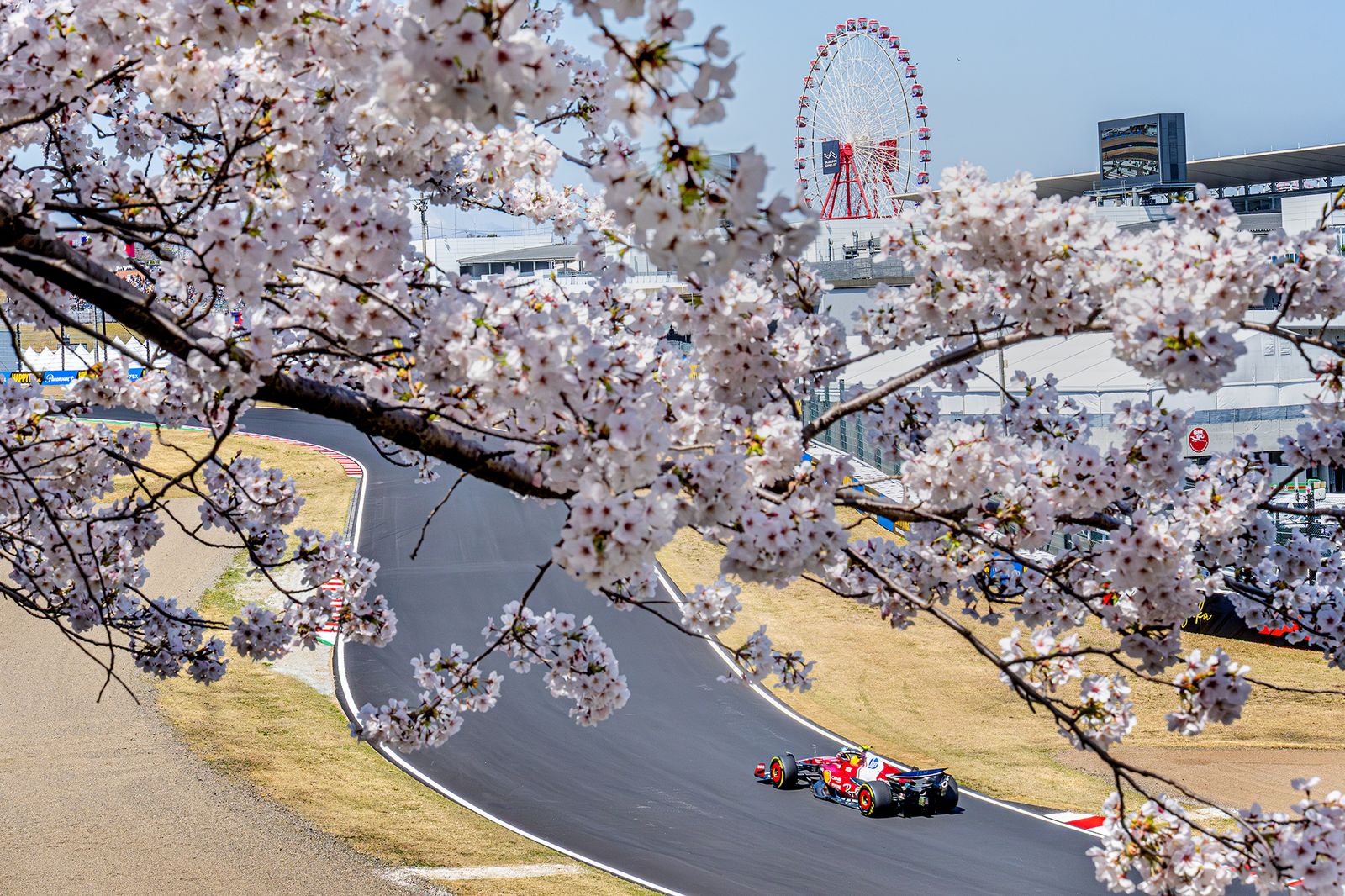 Fórmula 1 | Sakura Drift