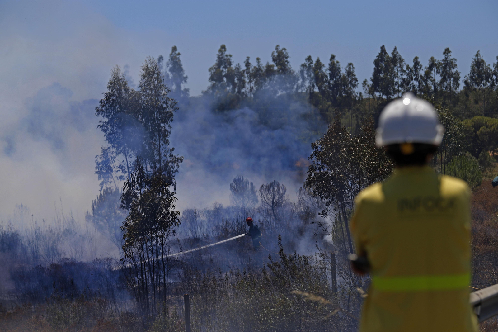 Imágenes del espectacular incendio entre en el paraje de la raya de Aljaraque y Marismas del Odiel