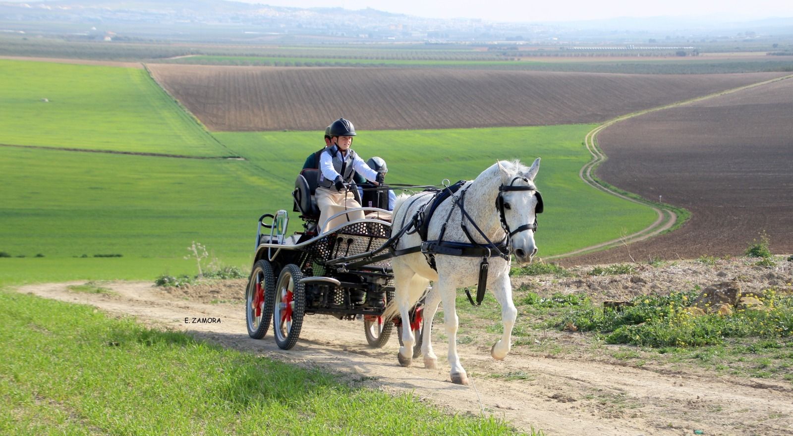 Carruaje participante en la I Carrera de Postas organizada por el Real Club de Enganches de Andalucía y el Cortijo El Ángel.