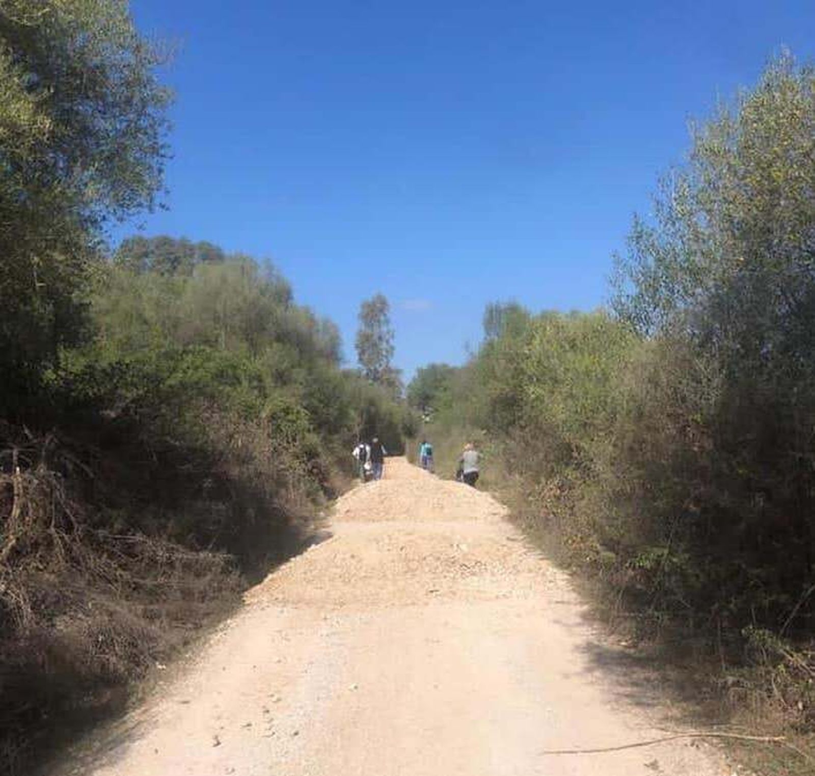 Vereda Real, en Jimena.