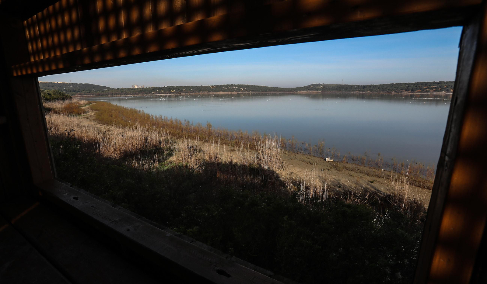 La Laguna de Medina, un paraíso para las aves