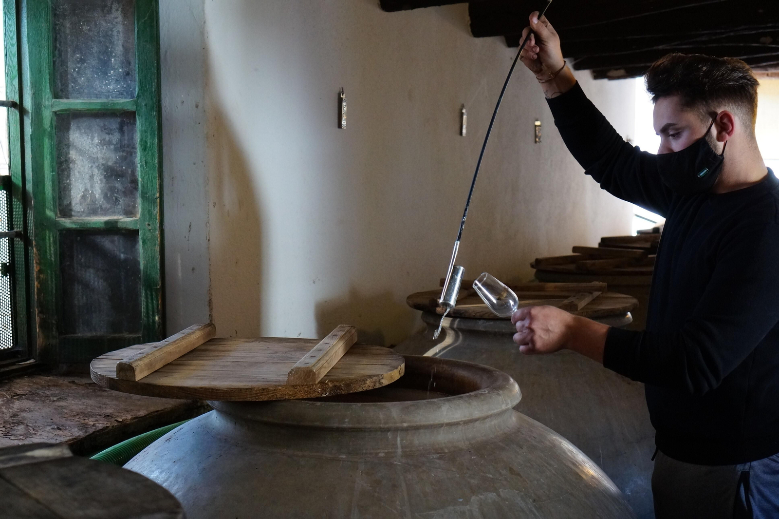 Un recorrido en fotografías por el vino nuevo de Moriles