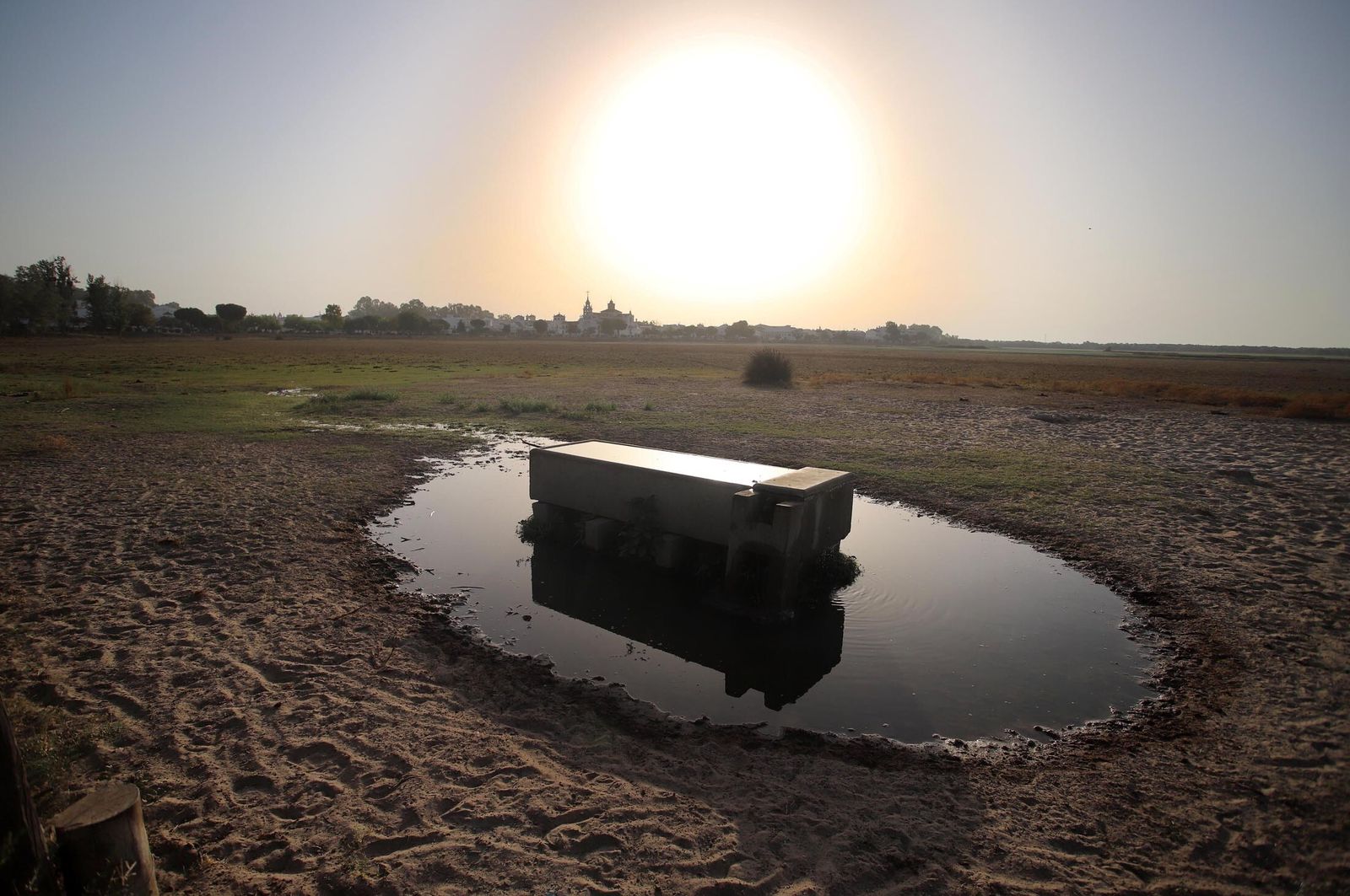 La marisma junto a la ermita de El Rocío seca, en imágenes