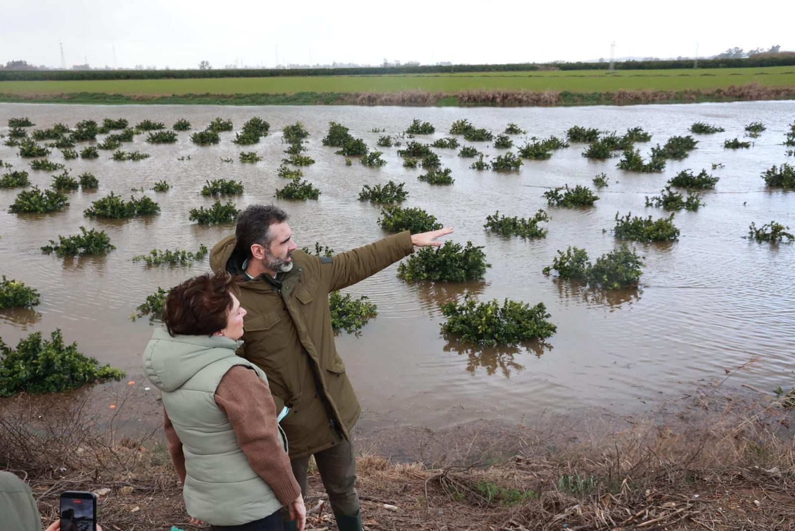El consejero de Agricultura durante una visita a explotaciones afectadas por las inundaciones en Cantillana.