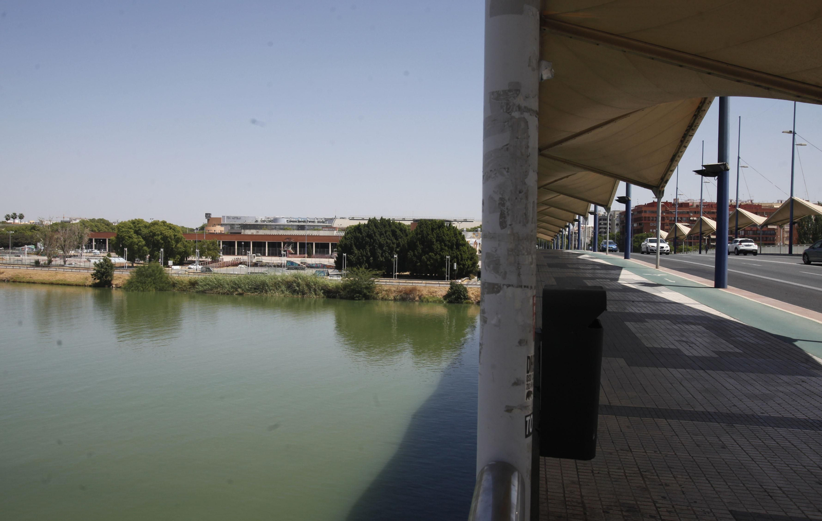 El muelle se reubicará a escasos metros del puente del Cristo de la Expiración, cerca del centro deportivo Arjona.