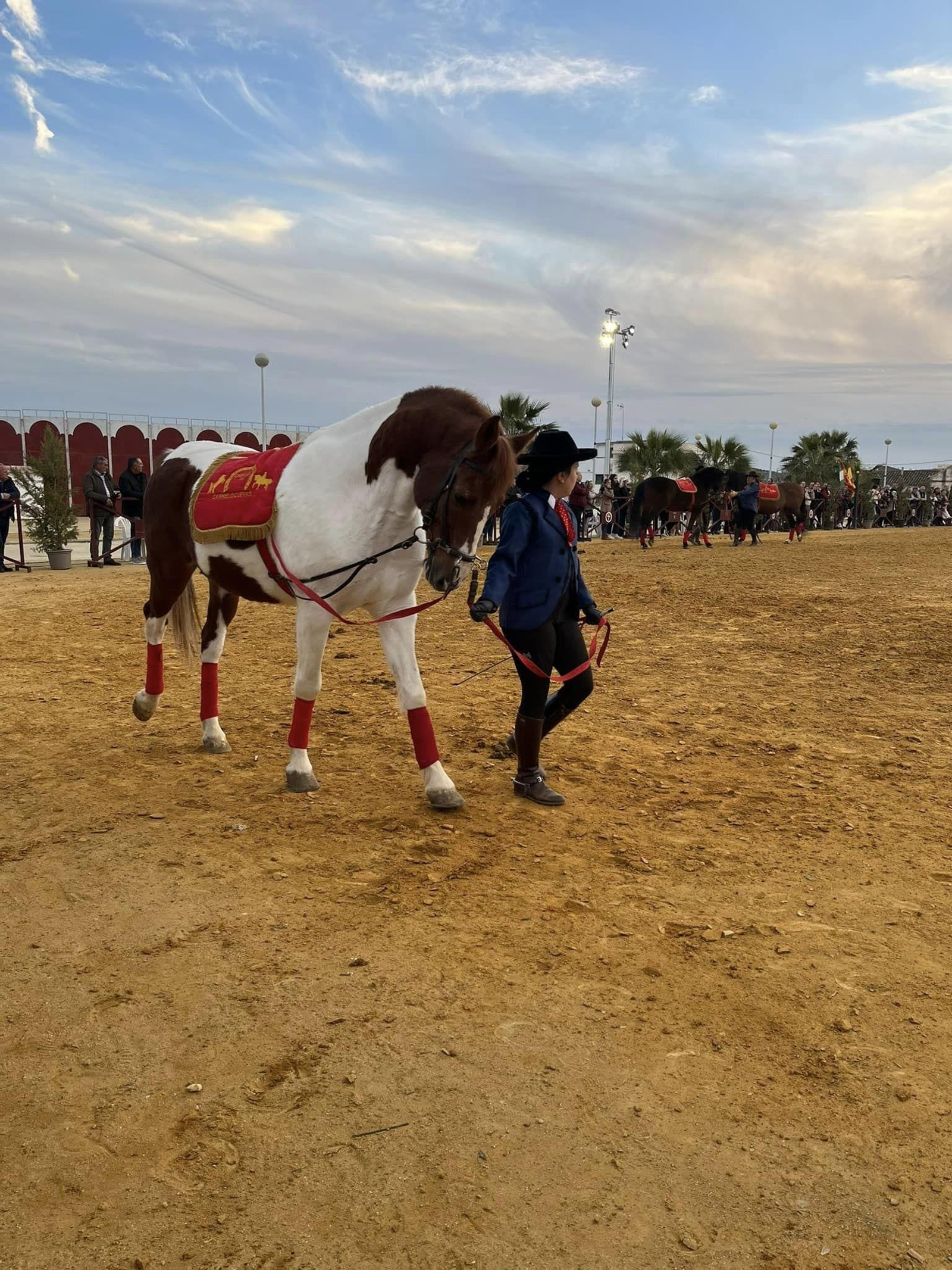 La exhibición ecuestre Caballos de Nuestra Tierra de Bujalance, en imágenes