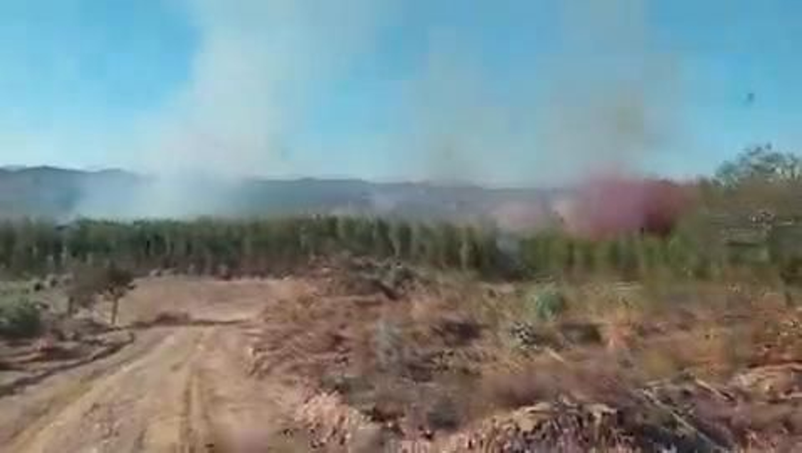 Localizan un nuevo incendio en Zalamea la Real.