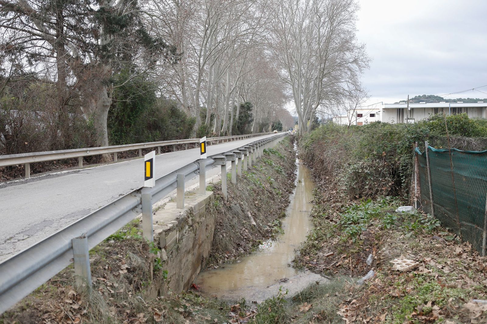 Fotos de las consecuencias de la borrasca Francis en Tesorillo y Jimena