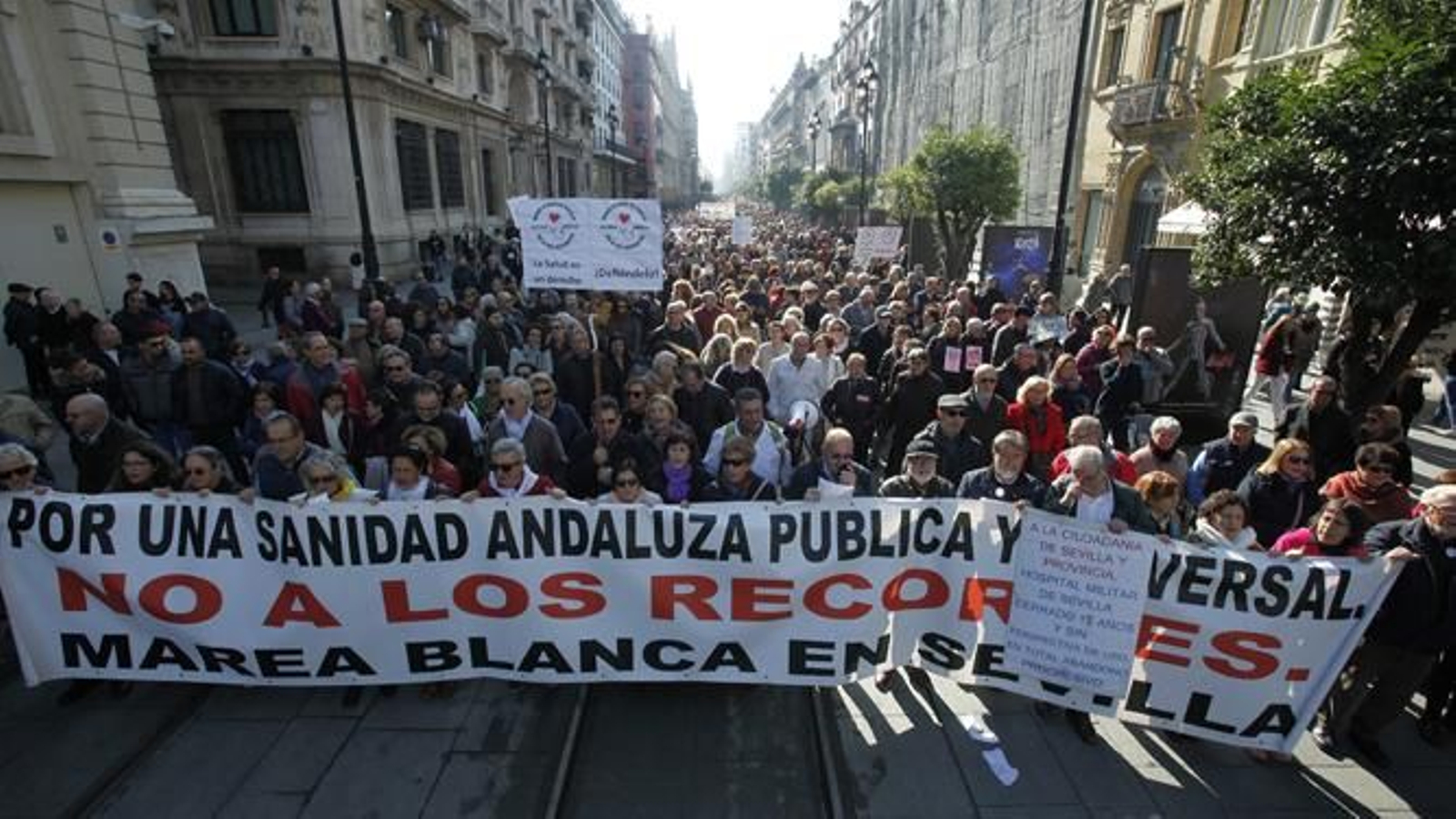 La manifestación, a su paso por la Avenida de la Constitución.