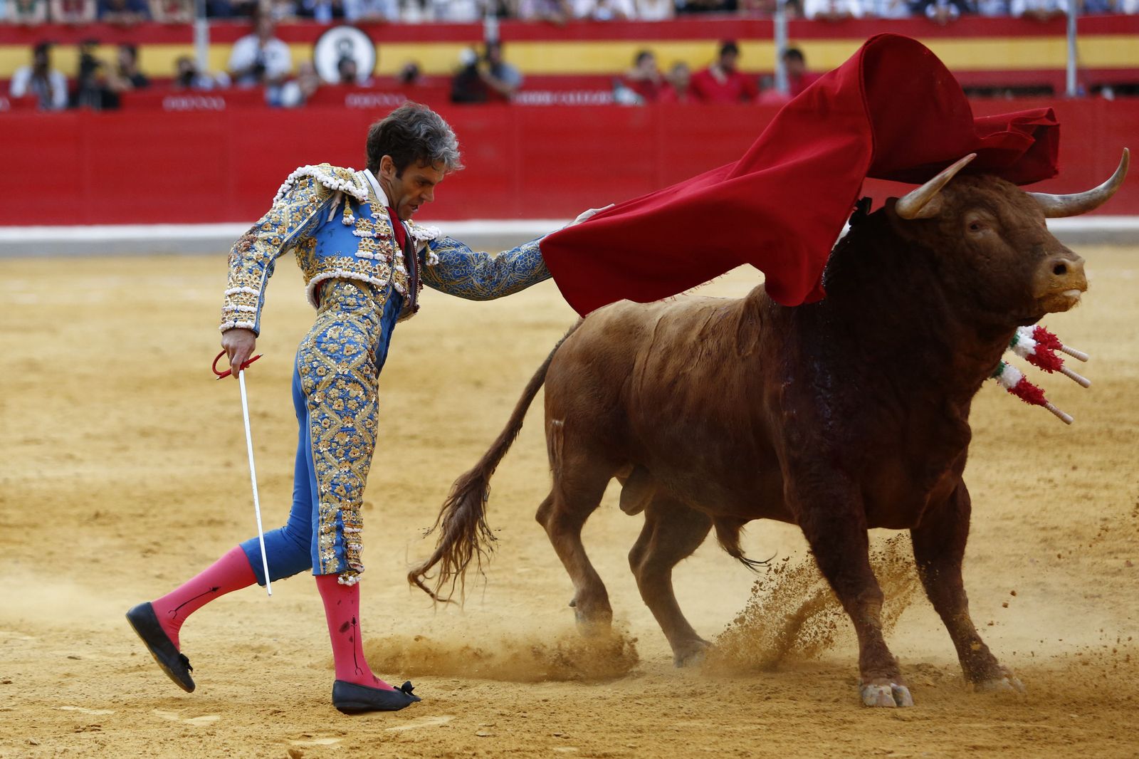 José Tomás en Granada durante el Corpus de 2019.