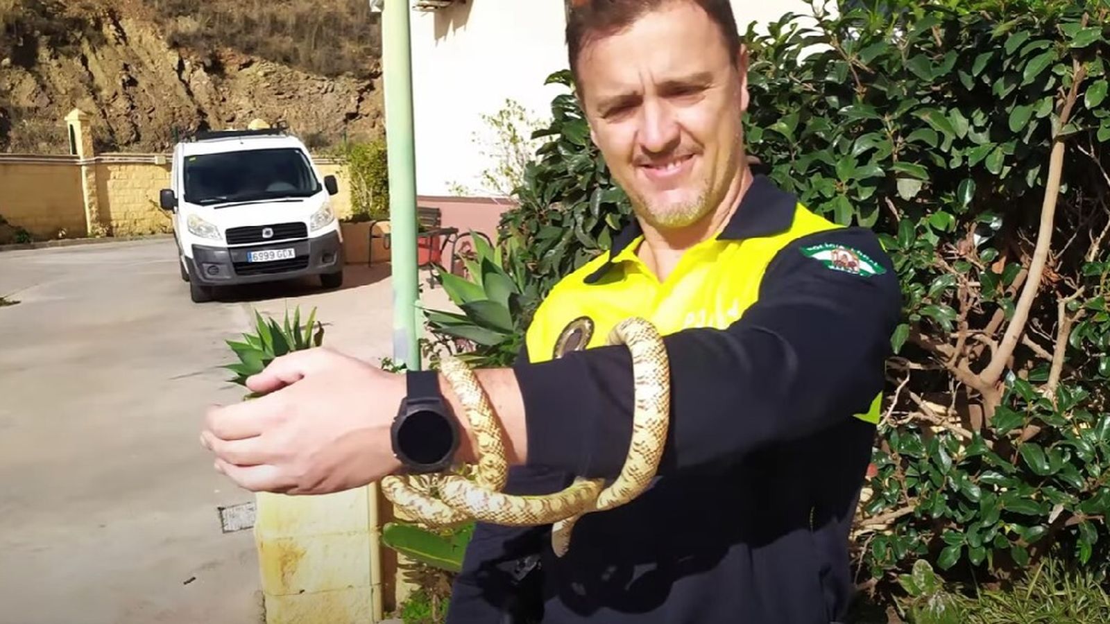 Serpiente Rey de Florida, de aproximadamente 1,20 metros, abandonada en Bailén-Miraflores.