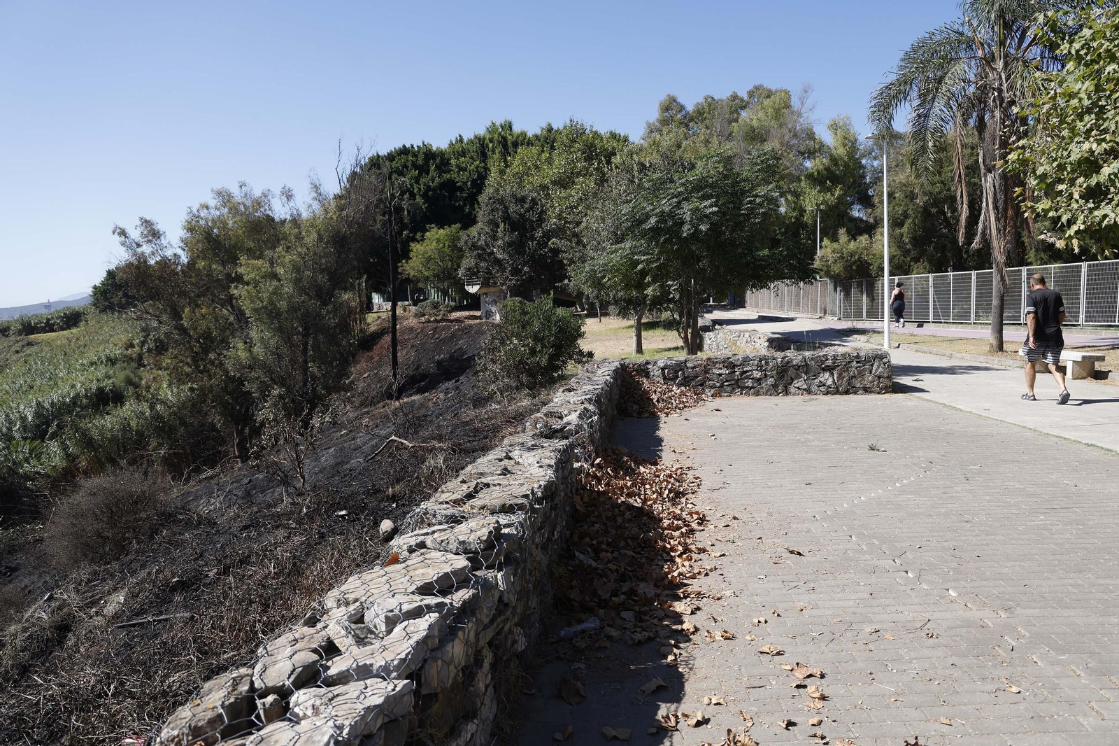 Así ha quedado la zona quemada por el incendio en el Paseo de la Cornisa de Algeciras
