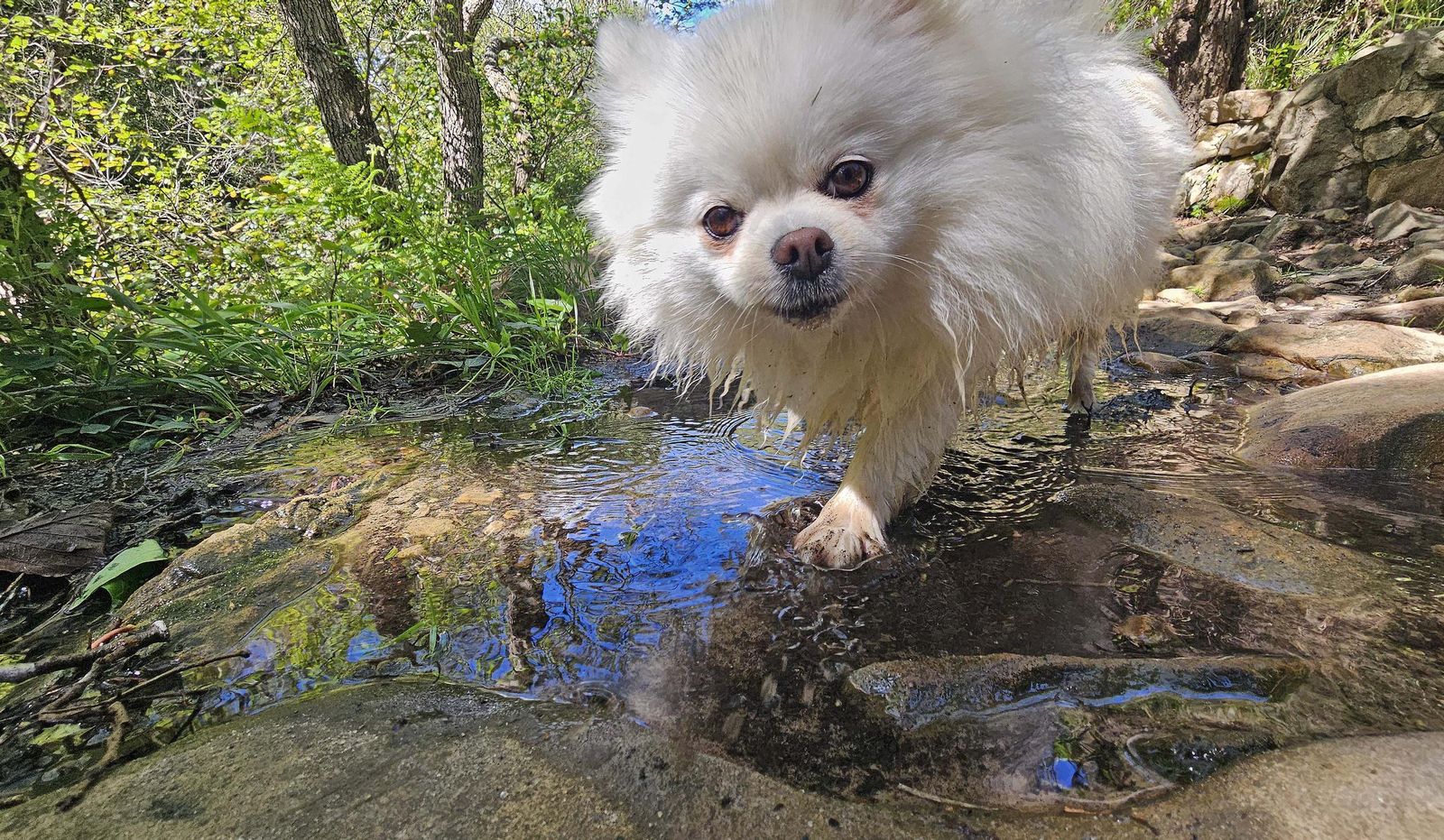 Fotos del río de la Miel tras las borrascas de marzo