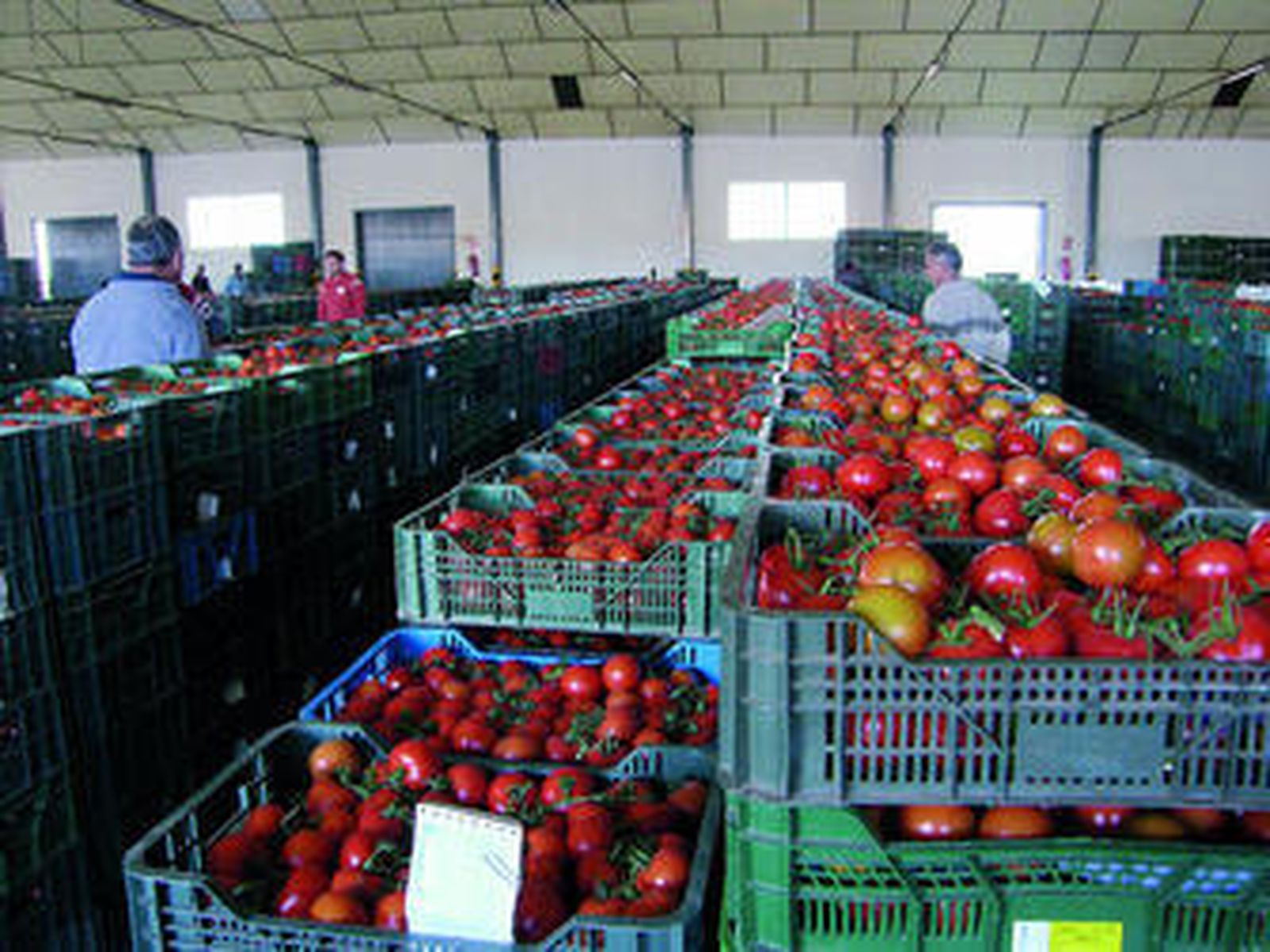 La empresa está implantada en Roquetas, Vícar, El Ejido y La Mojonera.