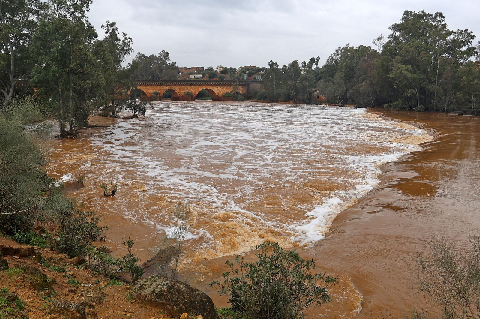 Imágenes del río Tinto a su paso por Niebla tras la borrasca Garoé