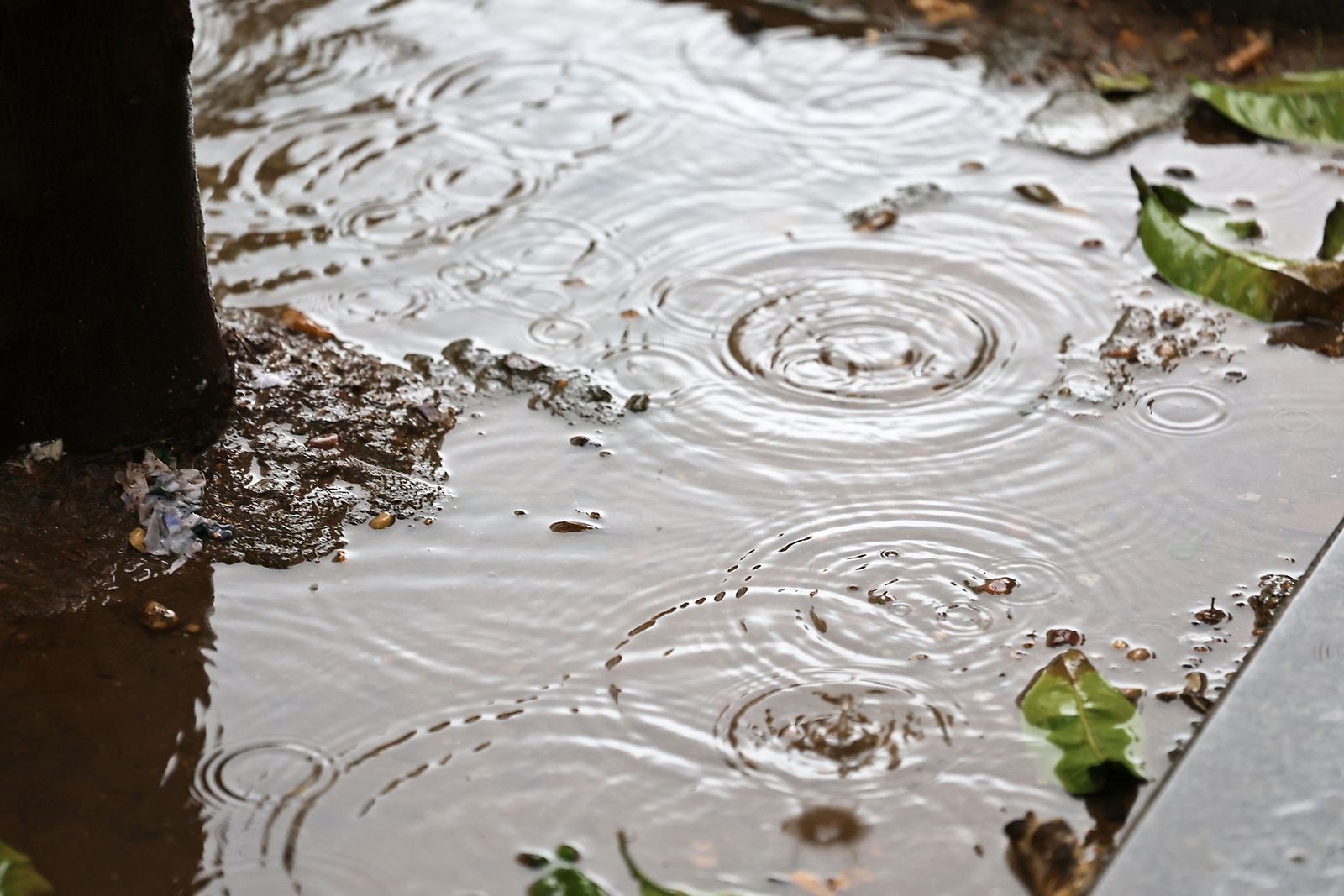 Imágenes de la lluviosa mañana en Huelva
