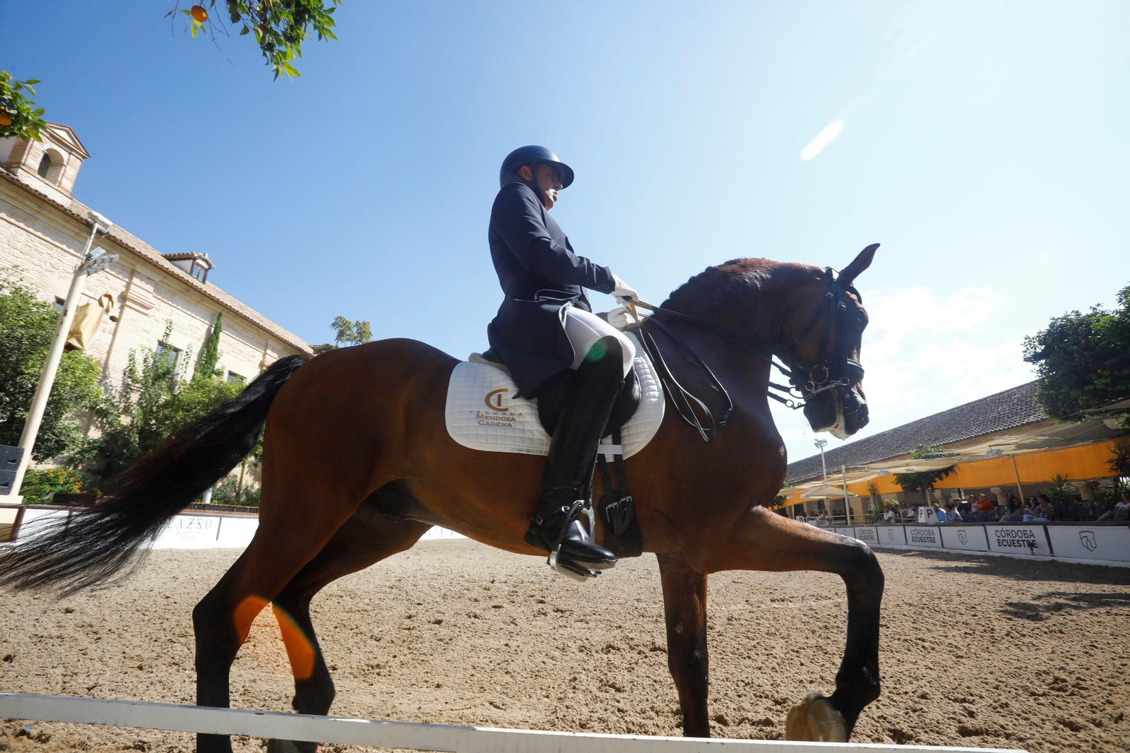 El concurso nacional de Doma Clásica en las Caballerizas Reales de Córdoba