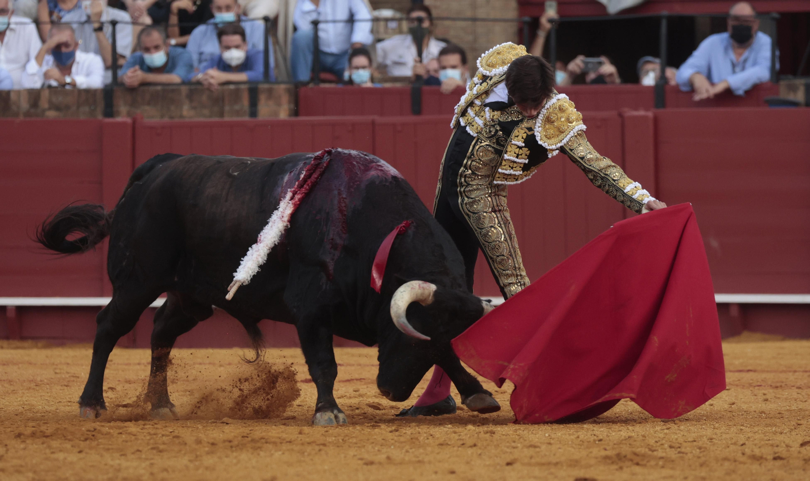 Las imágenes del triunfo de Morante en San Miguel
