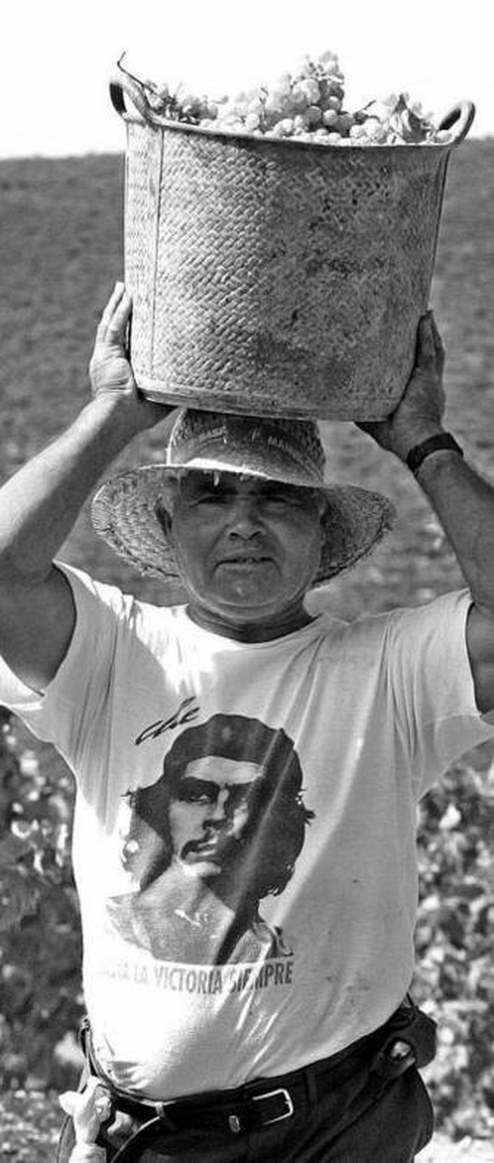 Un jornalero entre las vides.