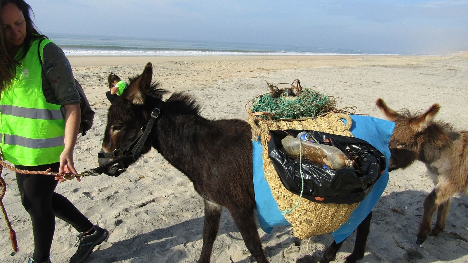 Las alforjas cargadas con la basura recogida