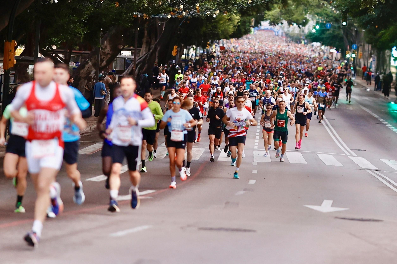 Las fotos de la Maratón de Málaga 2025
