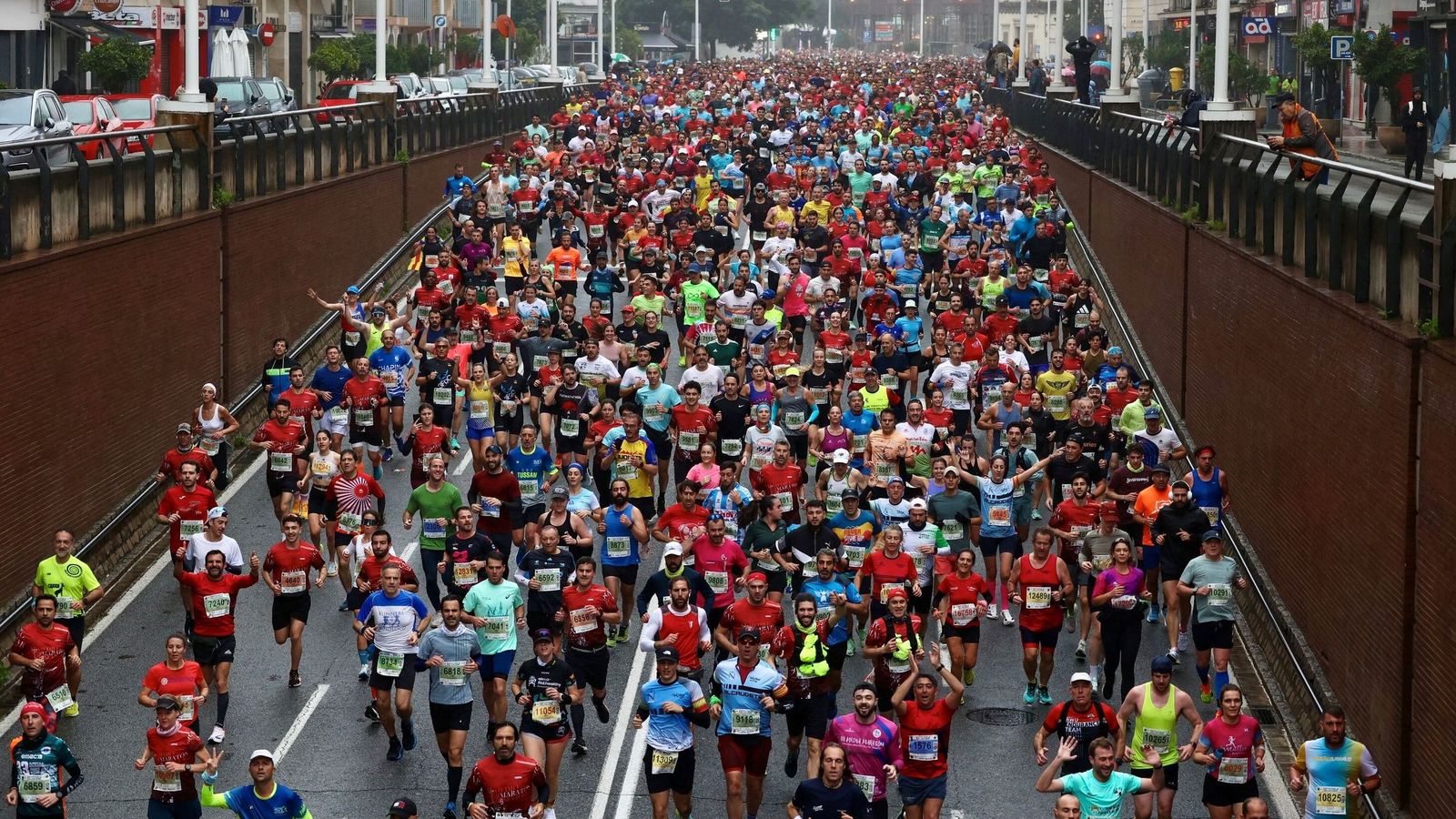 La Media Maratón de Sevilla, en la edición de 2025