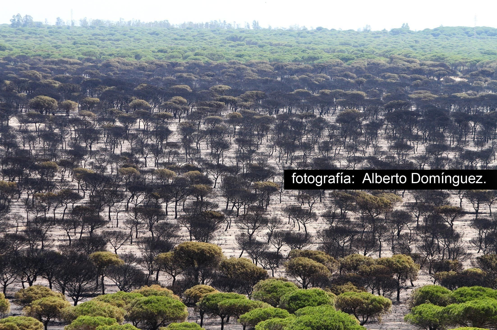 Imágenes de Cuesta Maneli tras el incendio.