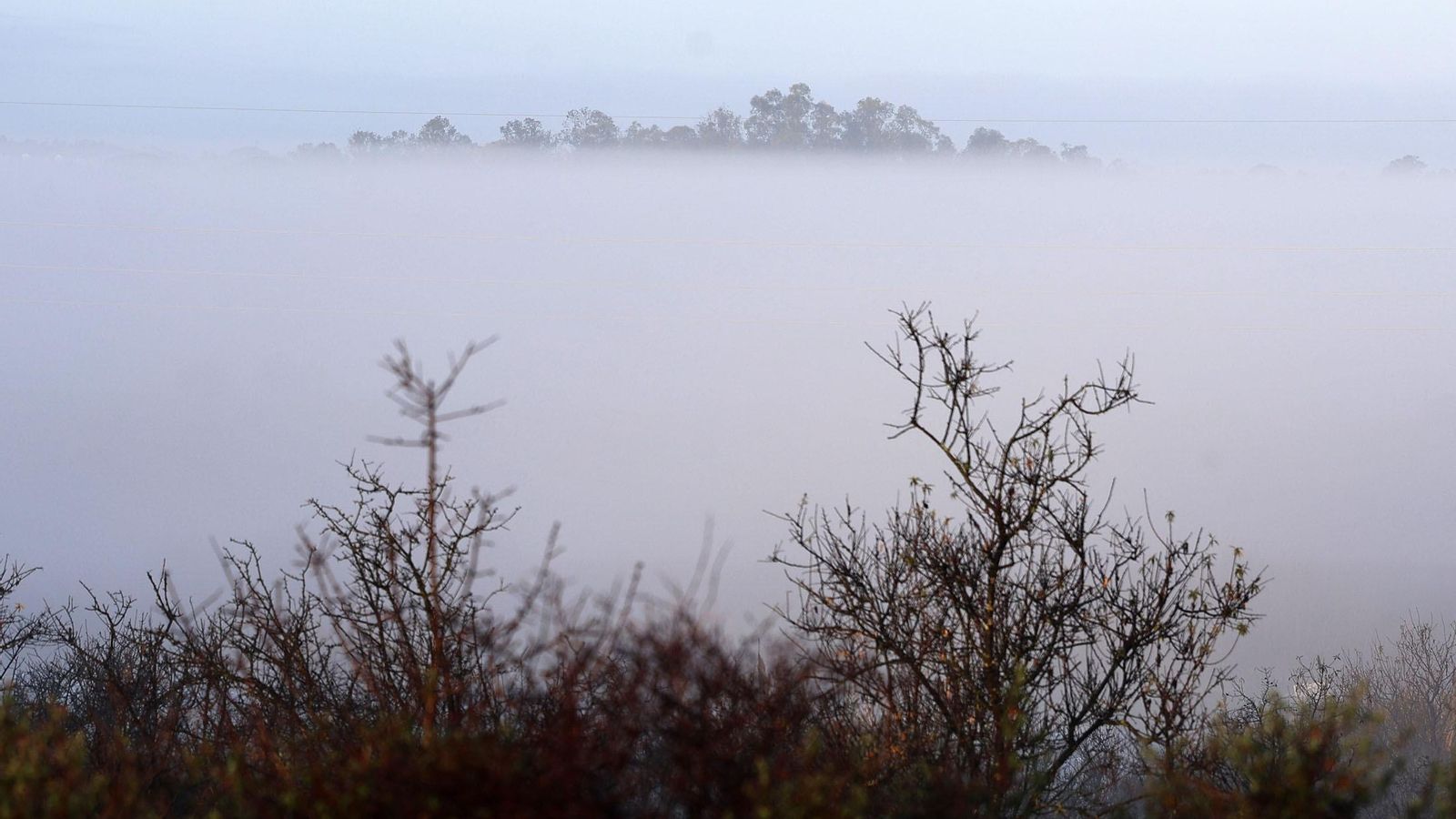 Niebla en Huelva este jueves.