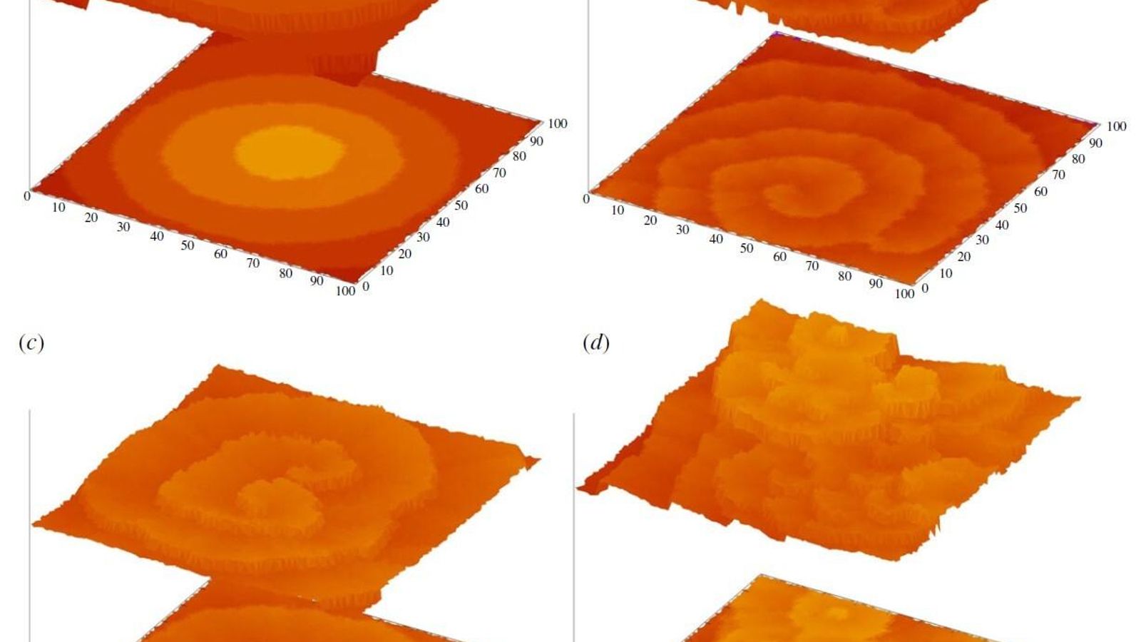 Patrones producidos por simulaciones. El nuevo modelo minimalista puede reproducir todos los patrones observados en los panales de abejas usando tan solo reglas locales.